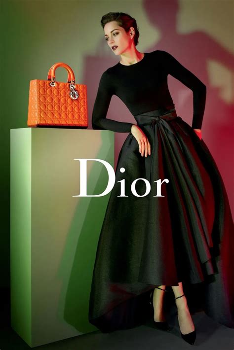 examples of Dior fashion